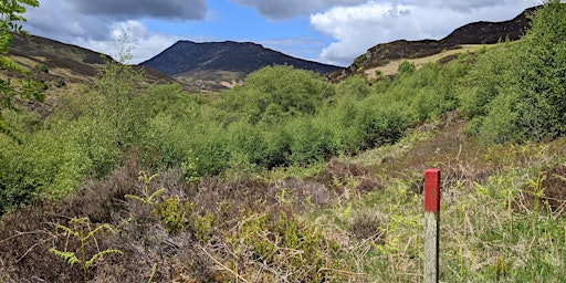 'Heart of Scotland - Practical Conservation Day