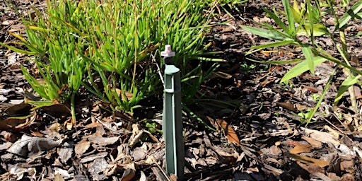 Image principale de Microirrigation for Home Landscapes-Lakeland (free kit included)