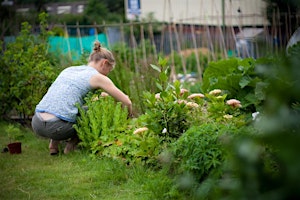 Primaire afbeelding van Gardening basics - two day course
