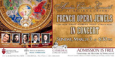 Hauptbild für Cathedral Concert: Amadeus Chamber Ensemble (Orchestra & Chorus)