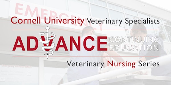 2024 Spring Veterinary Nursing Series - ECC: The Shocky Patient