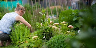 Image principale de Gardening basics - two day course