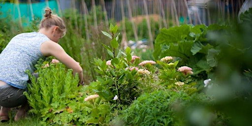 Gardening basics - two day course primary image
