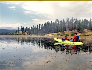 Kayak Eco-Tour primary image