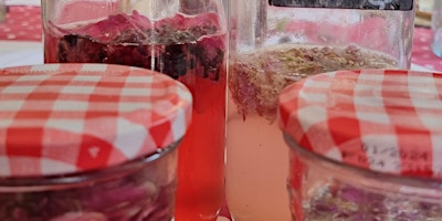 Foraging walk with wild soda and wild flavoured Kombucha workshop primary image