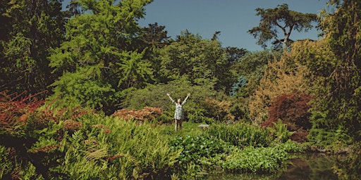 Tree Medicine + Herbal Foraging with Crystal Marie Higgins primary image