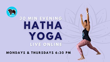 Evening Hatha Yoga - Beginner Friendly primary image
