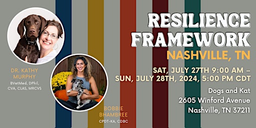 The Resilience Framework - Nashville, TN primary image
