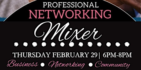 Professional Networking Mixer primary image