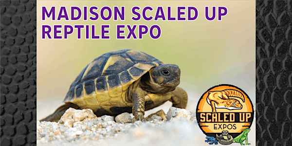 Madison Scaled Up Reptile Expo 11-03-2024