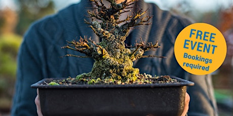 Feature talk: Bonsai for beginners