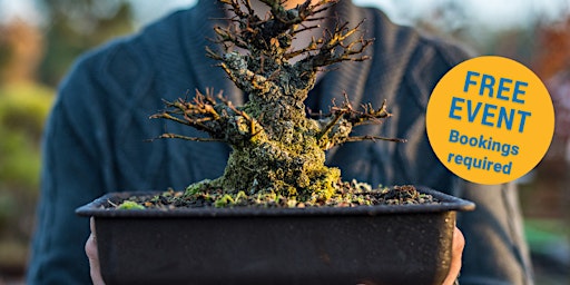 Primaire afbeelding van Feature talk: Bonsai for beginners