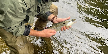 Fly Fishing 101