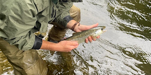 Hauptbild für Fly Fishing 101