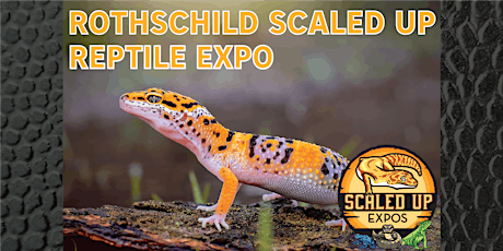 Rothschild Scaled Up Reptile Expo 05-26-2024