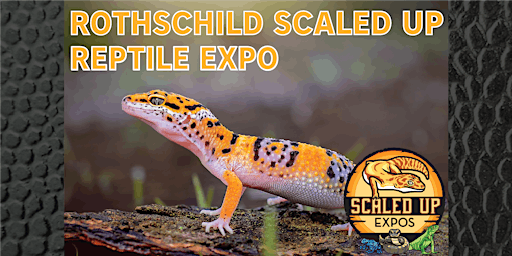 Imagem principal do evento Rothschild Scaled Up Reptile Expo 05-26-2024