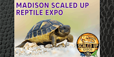 Imagem principal do evento Madison Scaled Up Reptile Expo 06-09-2024