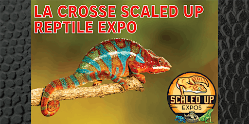 Image principale de La Crosse Scaled Up Reptile Expo 06-15-2024