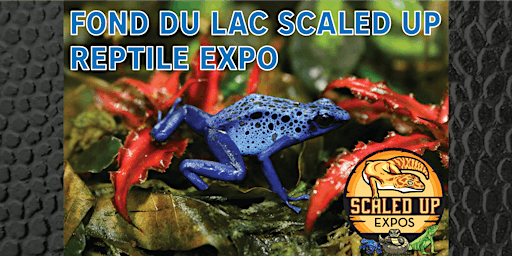 Hauptbild für Fond du Lac Scaled Up Reptile Expo 07-07-2024
