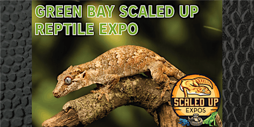 Imagen principal de Green Bay Scaled Up Reptile Expo 08-11-2024