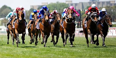 Sydney Harbour Melbourne Cup Lunch Cruise