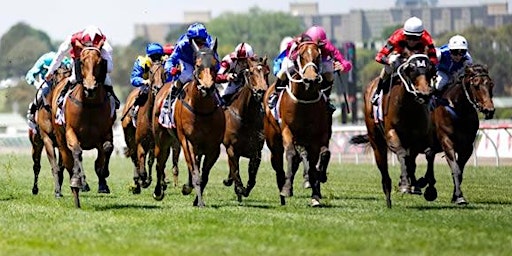 Primaire afbeelding van Sydney Harbour Melbourne Cup Lunch Cruise