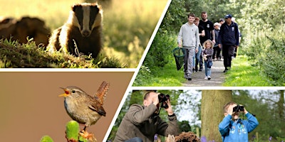 Primaire afbeelding van Biodiversity Bonanza at Falls of Clyde