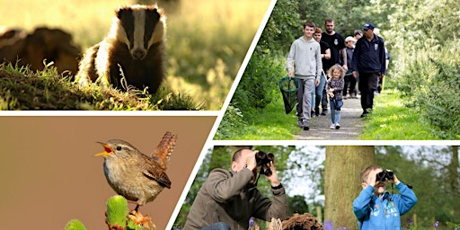 Biodiversity Bonanza at Falls of Clyde primary image