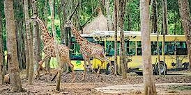 The visit to the zoo was extremely unique primary image