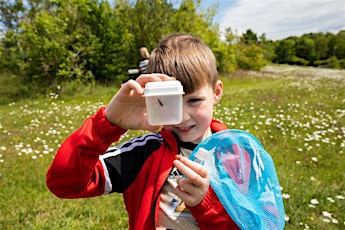 Mizuiku Family Workshops - River Wildlife