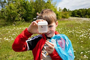 Imagen principal de Mizuiku Family Workshops - River Wildlife