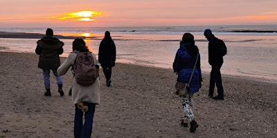 Bosbaden / Shinrin-Yoku / Forest Bathing - Kennemerduinen en Strand primary image