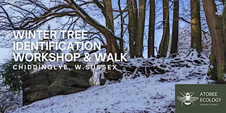 Winter Tree Identification Workshop and Walk