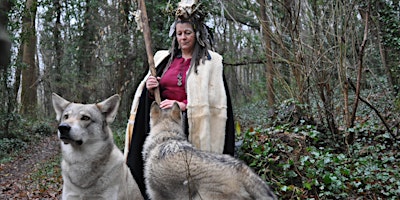 Imagen principal de A Wild Day Out With Odin's Wolves