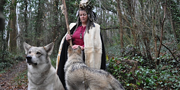 A Wild Day Out With Odin's Wolves