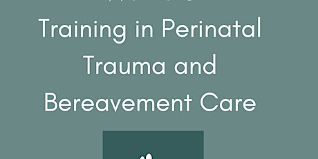 Study Day Perinatal Trauma and Bereavement