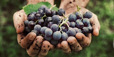 Hauptbild für Organic, Natural & Biodynamic Wines