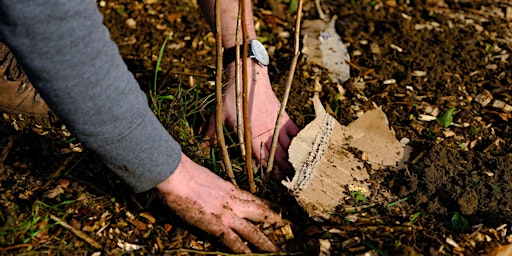 Hauptbild für Advanced Soil management