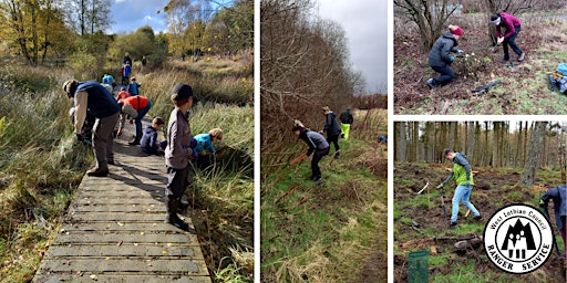 Hauptbild für Conservation Volunteers - Eliburn