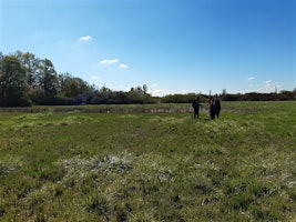 Primaire afbeelding van À la découverte du Marais de Boistray