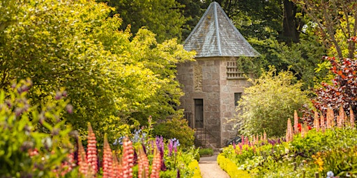 Exclusive Head Gardener walled gardens tour primary image