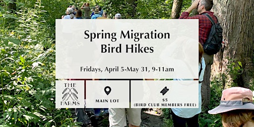 Spring Migration Bird Hikes primary image