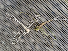 Hauptbild für Weave your own Willow Dragonflies