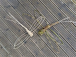 Primaire afbeelding van Weave your own Willow Dragonflies