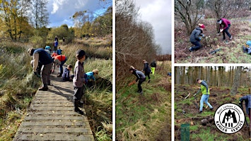 Conservation Volunteers - Polkemmet Country Park primary image