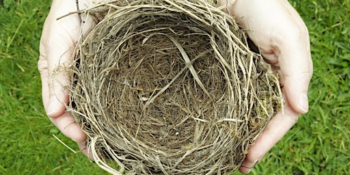 Imagen principal de NWT Sweet Briar Marshes:  Egg-static about bird nests