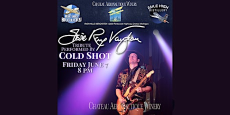 Stevie Ray Vaughan Tribute by Cold Shot