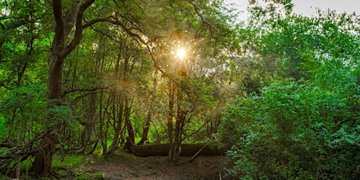 Imagen principal de NWT Sweet Briar Marshes:  Sweet Briar golden hour with the Mile Cross Man