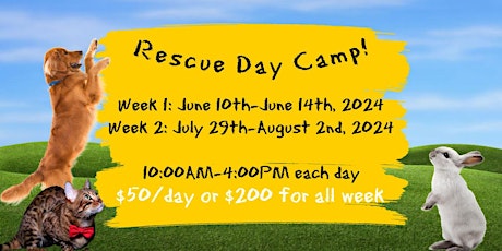 Rescue Day Camp Week 2 - Single Day Registration