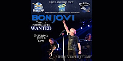 Bon Jovi Tribute by Wanted primary image